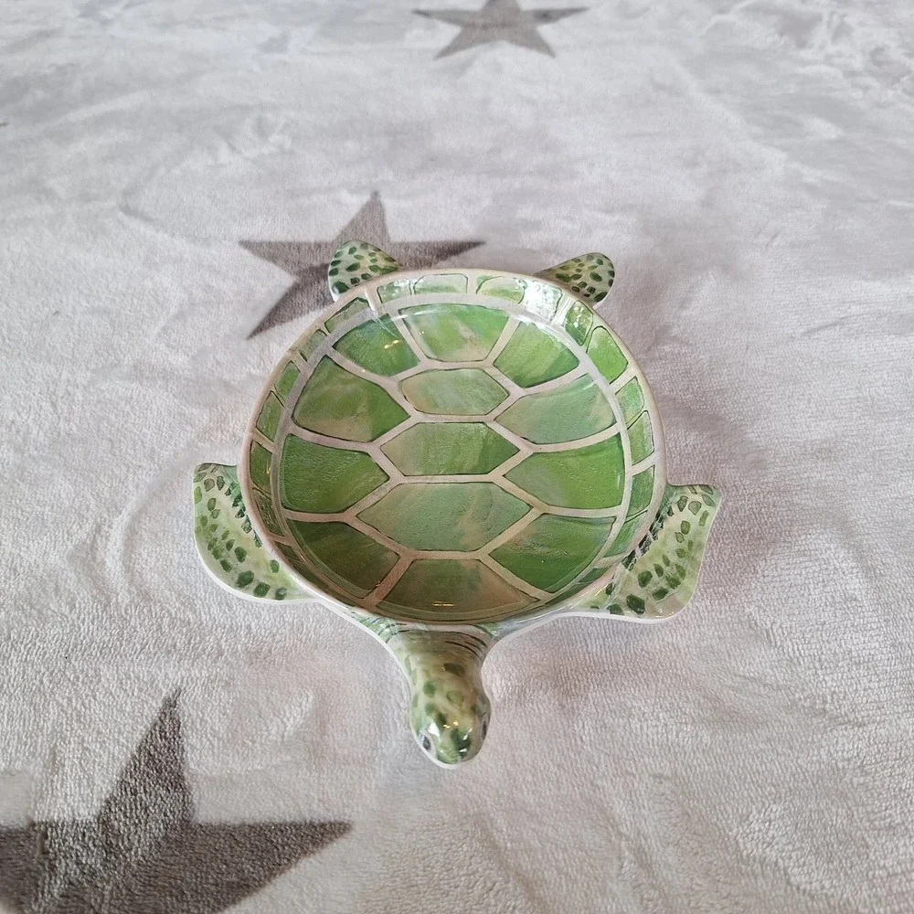 Cynthia Coulter Home Designs Sea Turtle 7